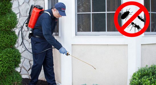 Tortum Karınca İlaçlama böcek ilaçlama ve haşere kontrolü — ilaclama-tr.com
